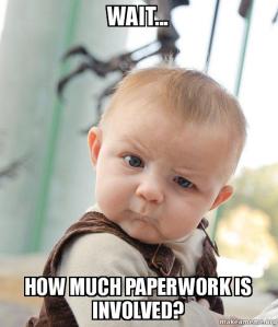 wait-how-much-6qi48x